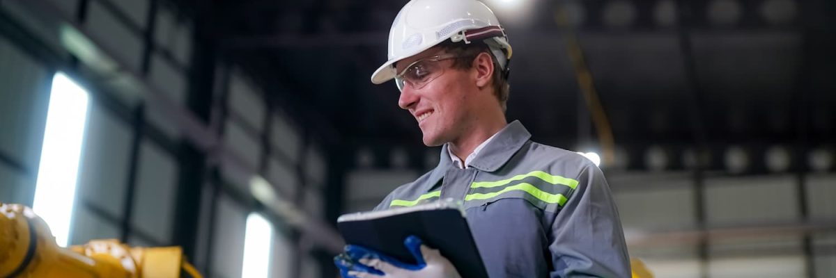 Ibs E Cbs Para Indústria - Company